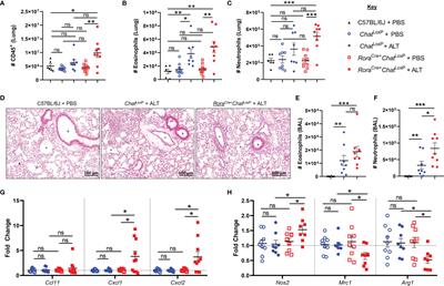 Differential Regulation of Allergic Airway Inflammation by Acetylcholine